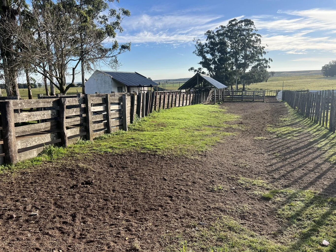 Campo en Rocha, propiedad 298696 -Imagen 6