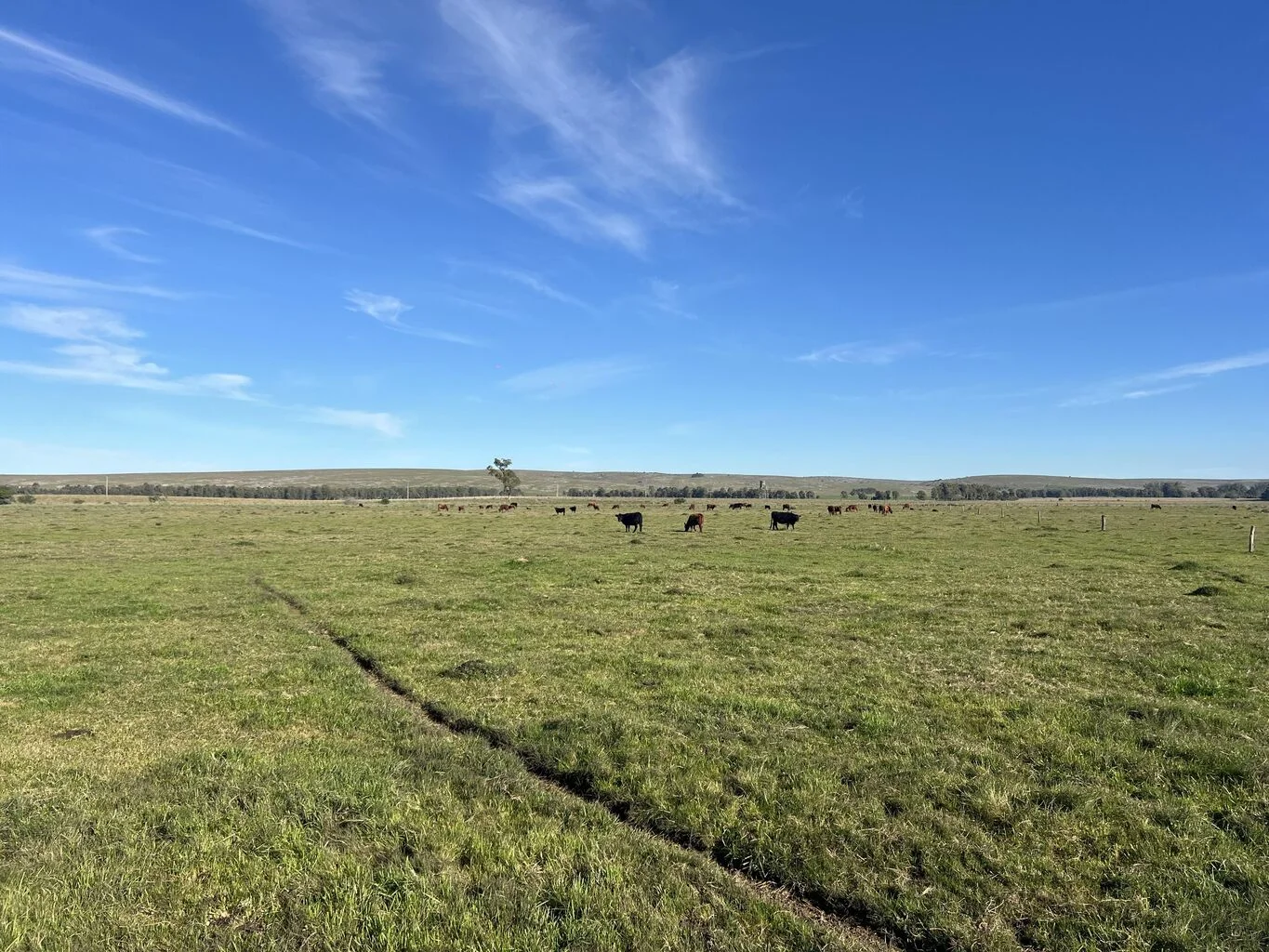 Campo en Rocha, propiedad 298696 -Imagen 7