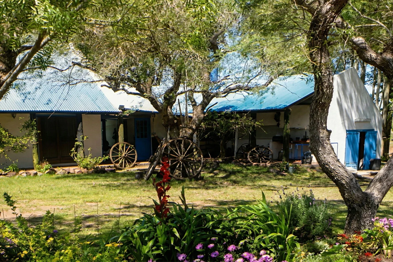 Campo en Rocha, propiedad 298696 -Imagen 13