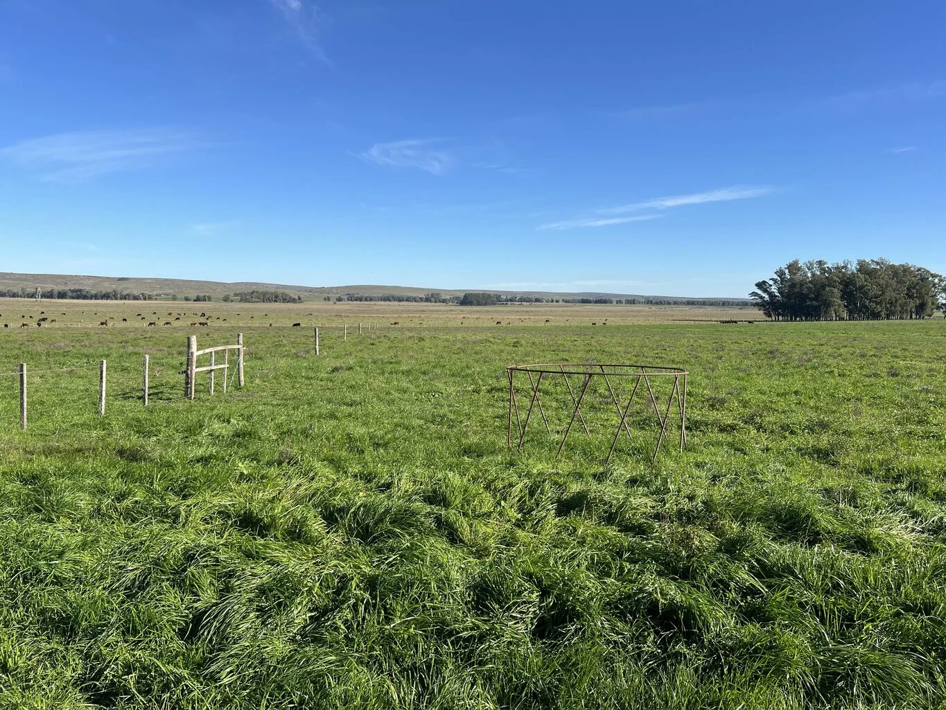 Campo en Rocha, propiedad 298696 -Imagen 3