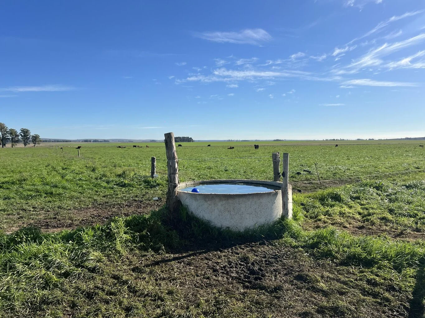 Campo en Rocha, propiedad 298696 -Imagen 4