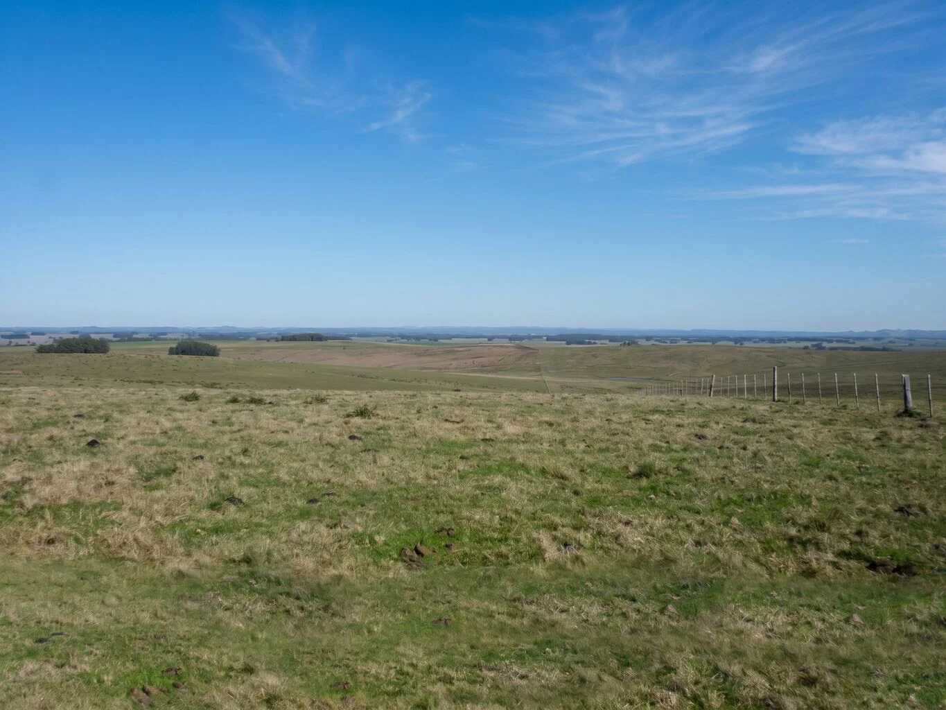 Campo en La Paloma, propiedad 298701 -Imagen 1