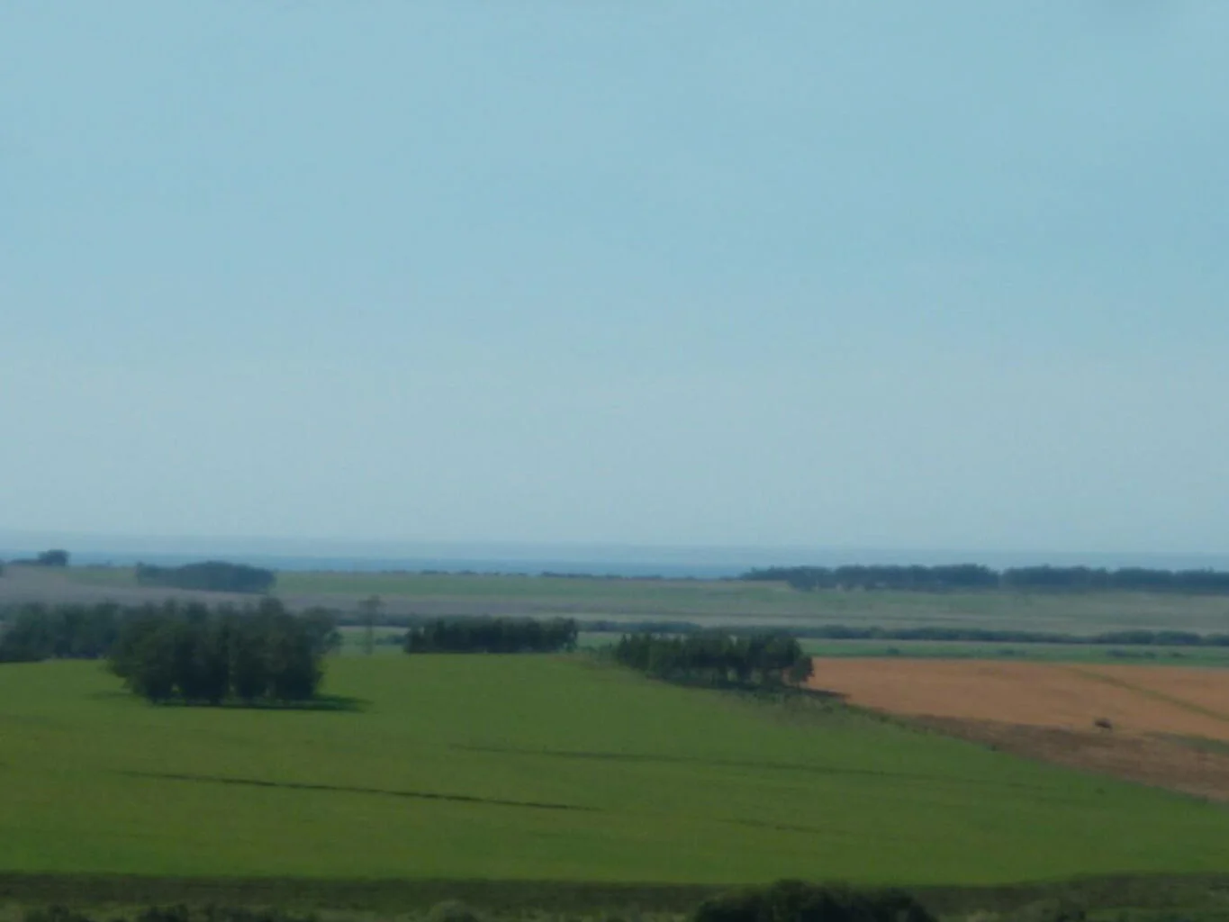 Campo en La Paloma, propiedad 298701 -Imagen 6