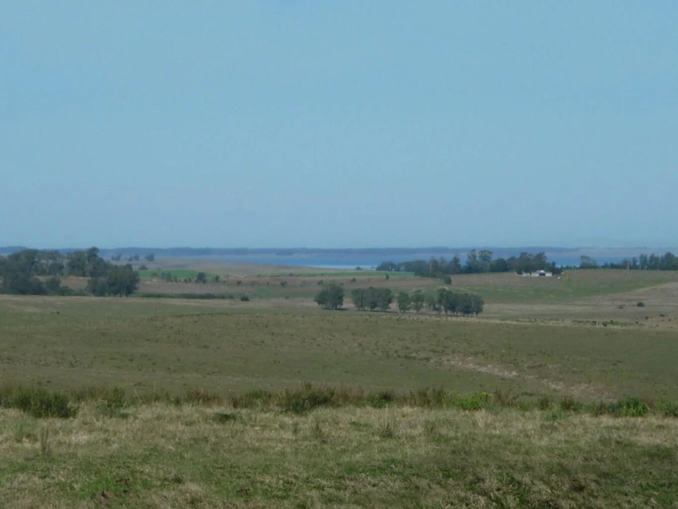 Campo en La Paloma, propiedad 298701 -Imagen 7