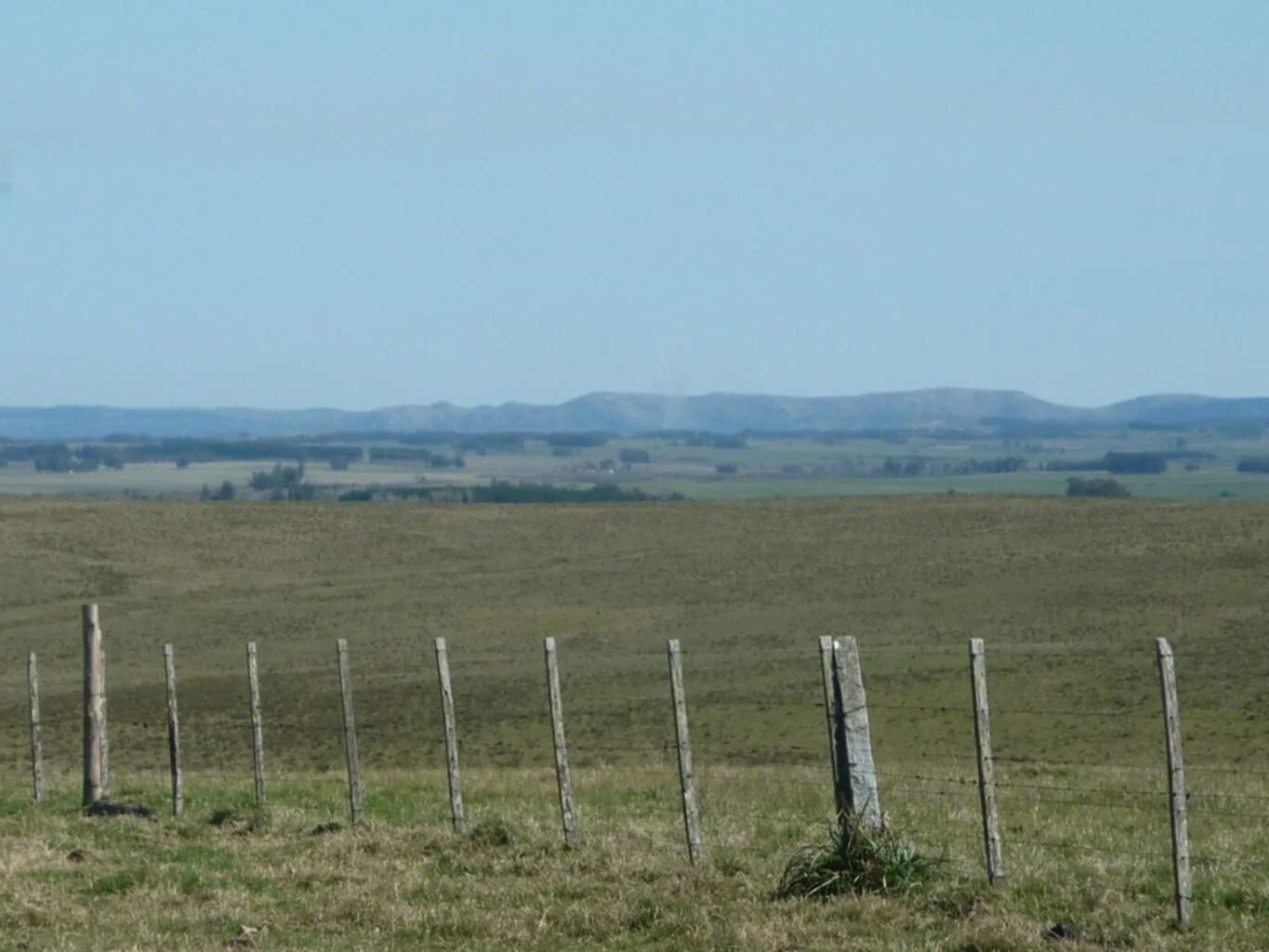 Campo en La Paloma, propiedad 298701 -Imagen 2