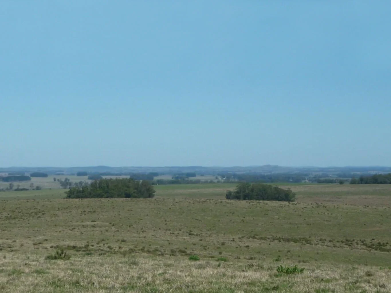 Campo en La Paloma, propiedad 298701 -Imagen 3
