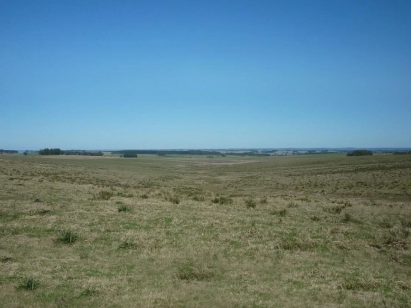 Campo en La Paloma, propiedad 298701 -Imagen 4