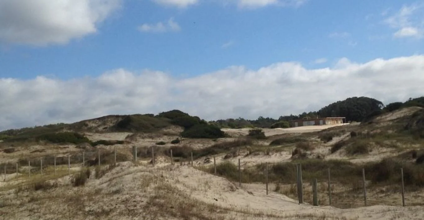 Campo en La Coronilla, propiedad 298703 -Imagen 5