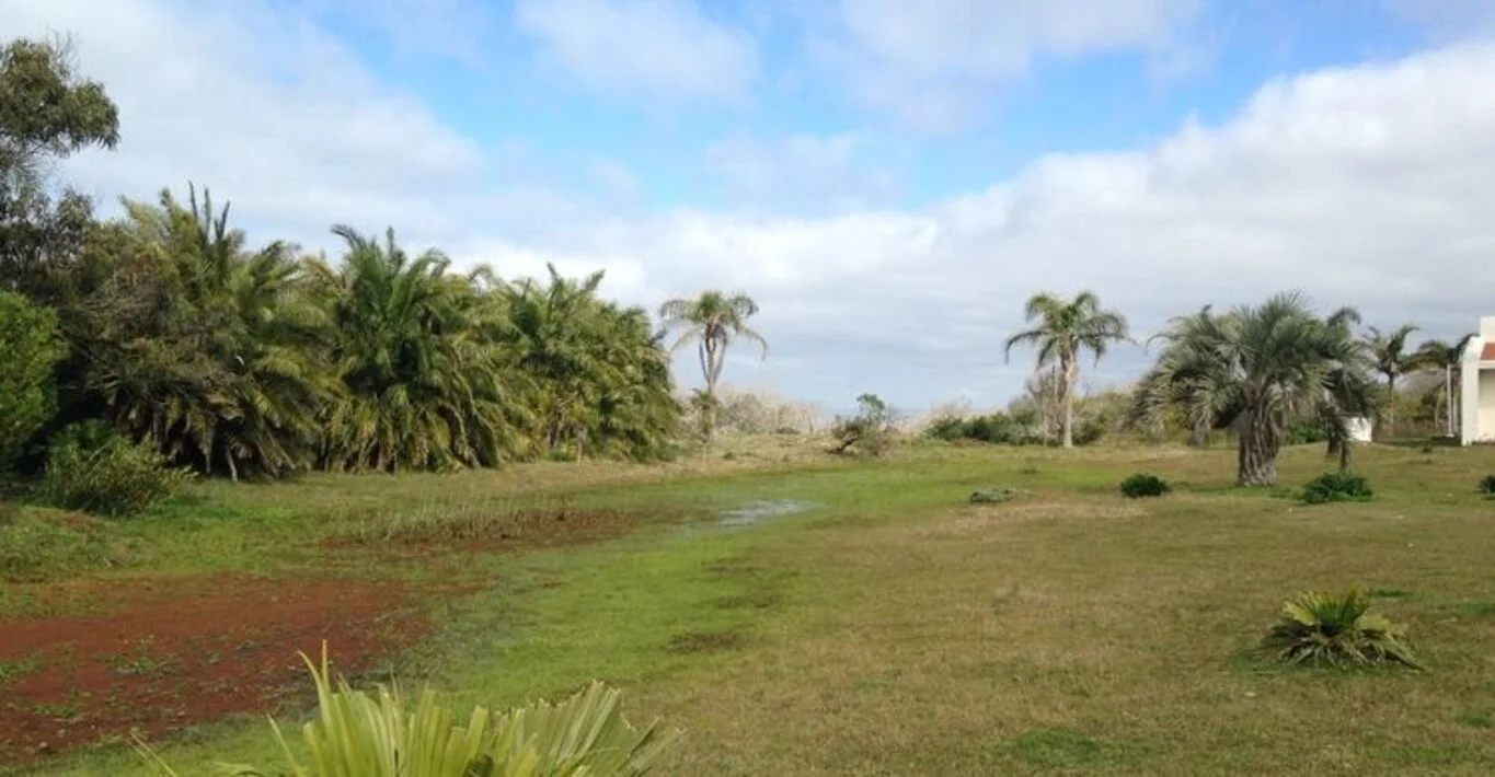 Campo en La Coronilla, propiedad 298703 -Imagen 2