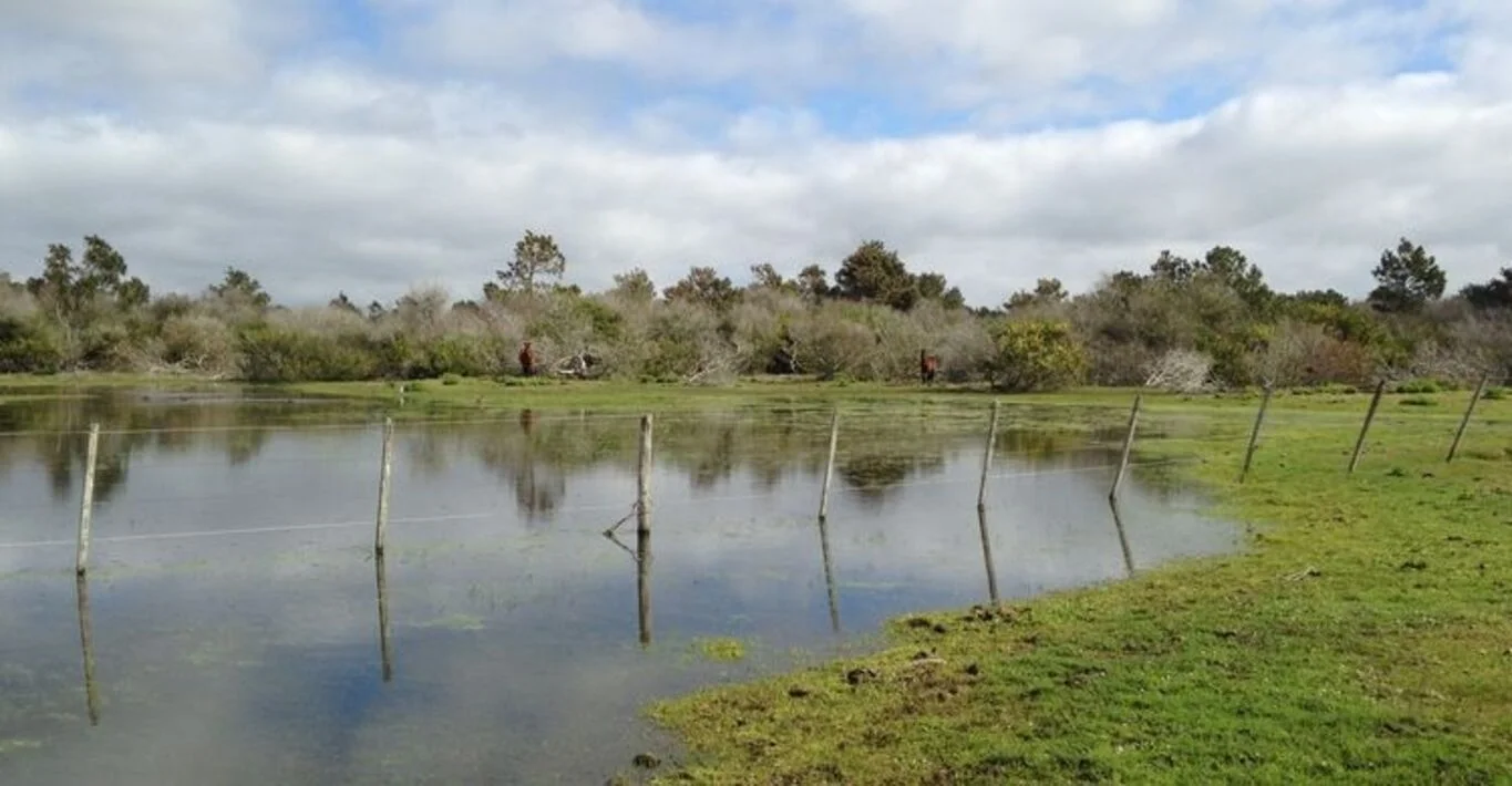 Campo en La Coronilla, propiedad 298703 -Imagen 4