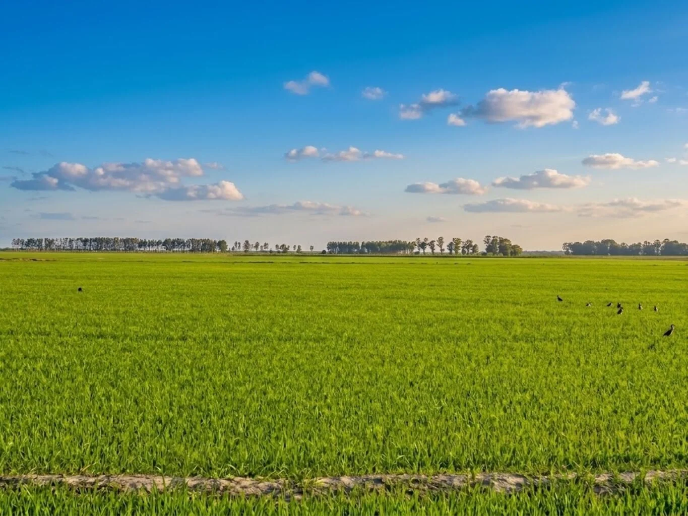 Campo en Rocha, propiedad 298704 -Imagen 1