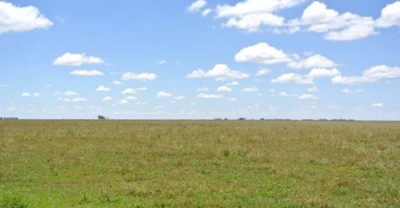 Campo en Rocha, propiedad 298704 -Imagen 3