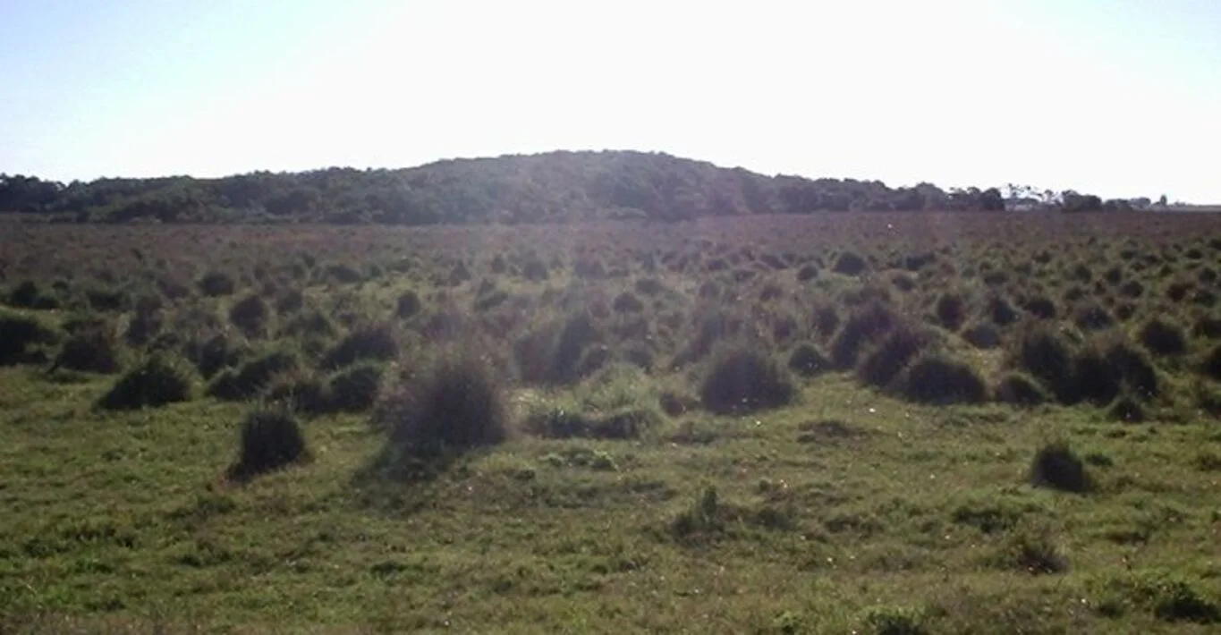 Campo en La Coronilla, propiedad 298706 -Imagen 2