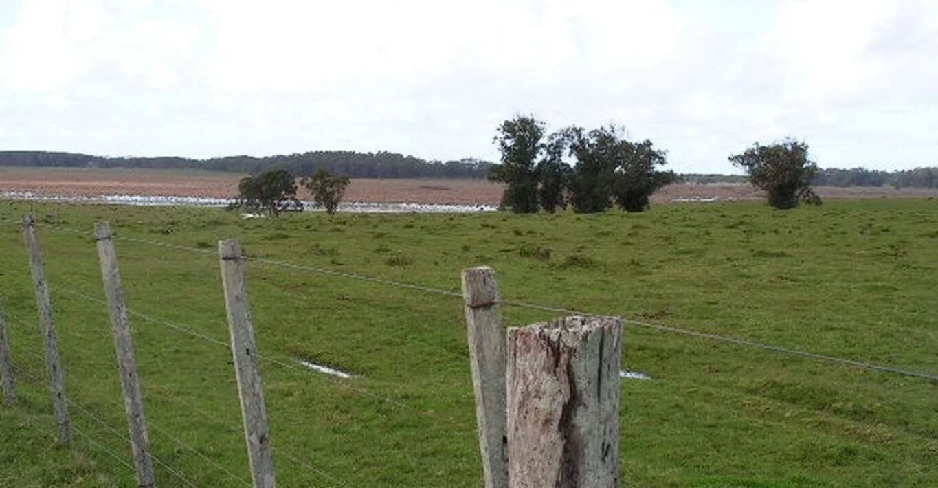 Campo en La Coronilla, propiedad 298706 -Imagen 5