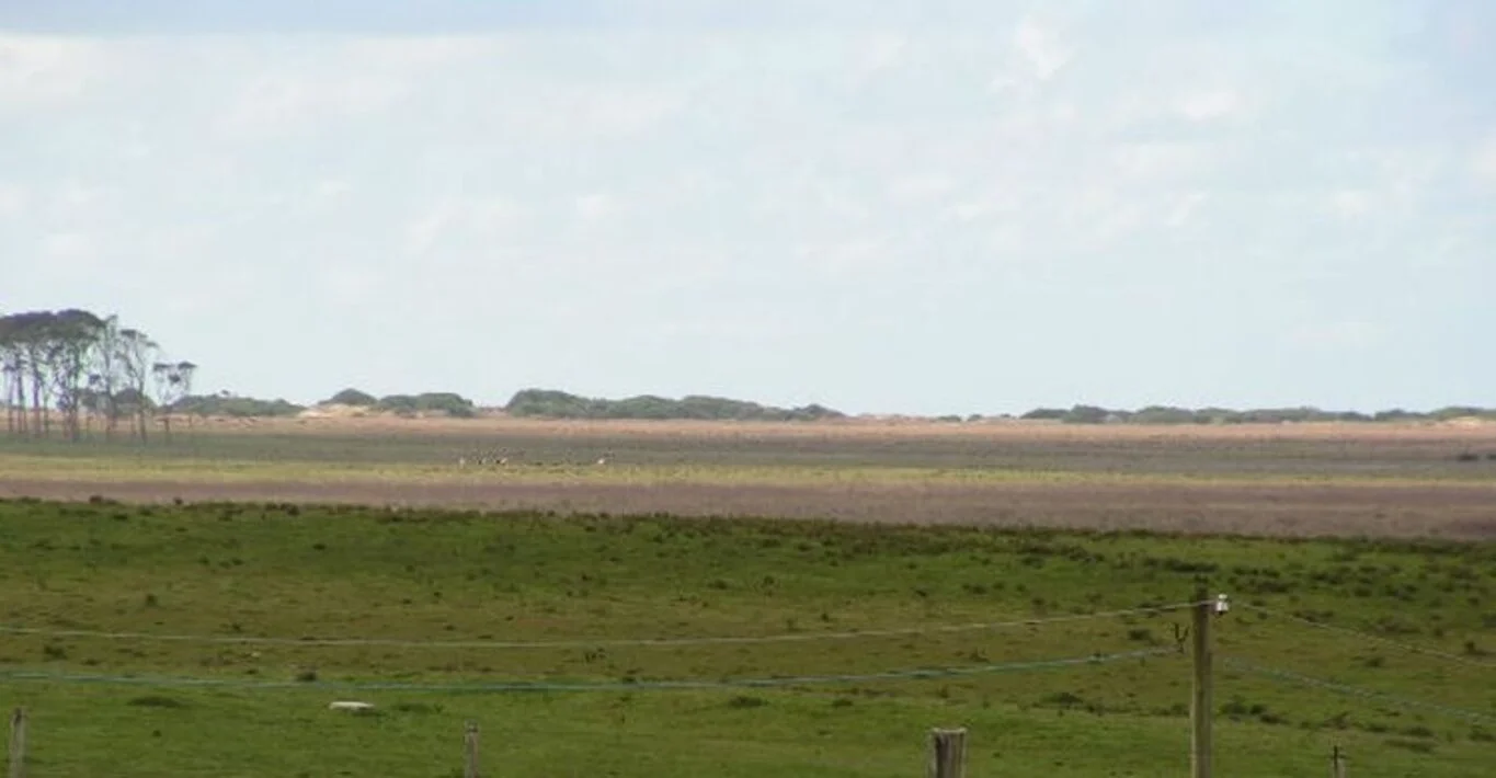 Campo en La Coronilla, propiedad 298706 -Imagen 6