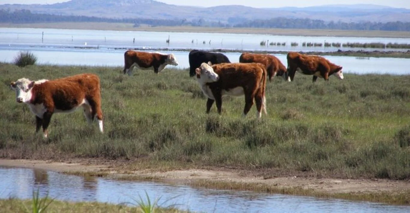 Campo en Rocha, propiedad 298707 -Imagen 5