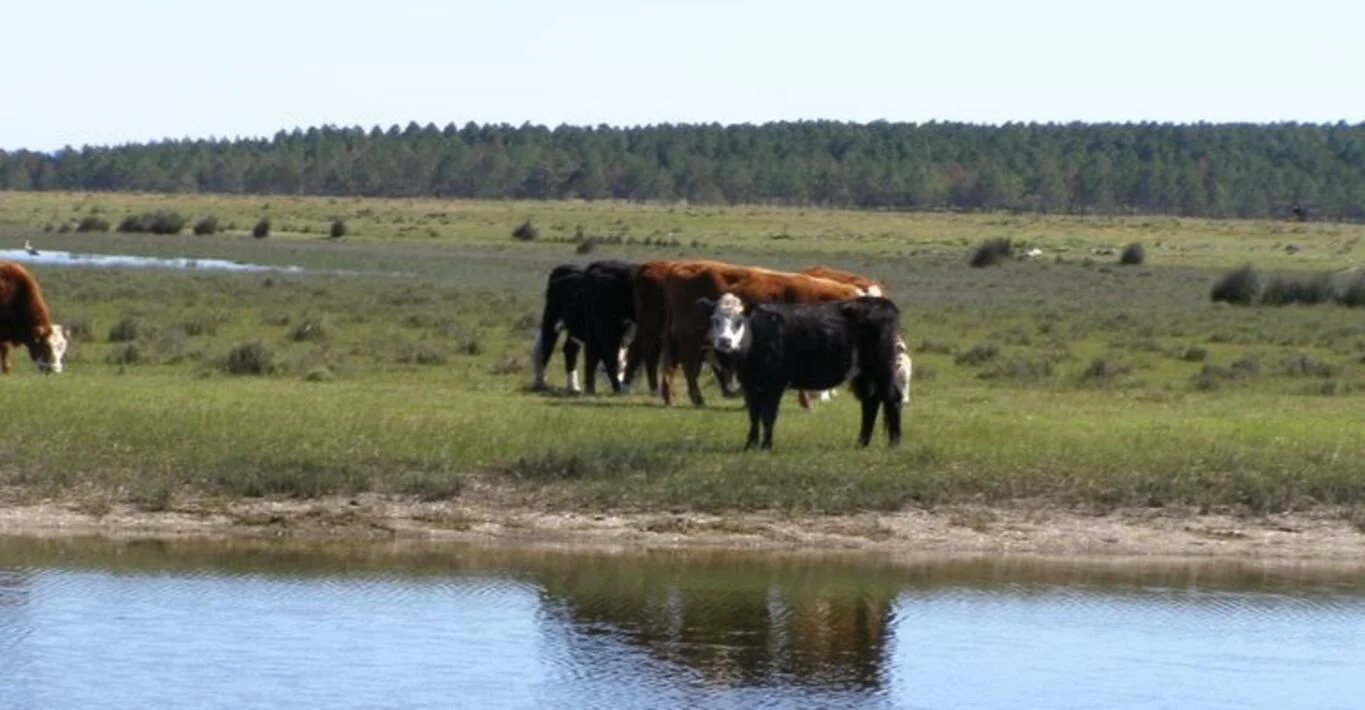 Campo en Rocha, propiedad 298707 -Imagen 6