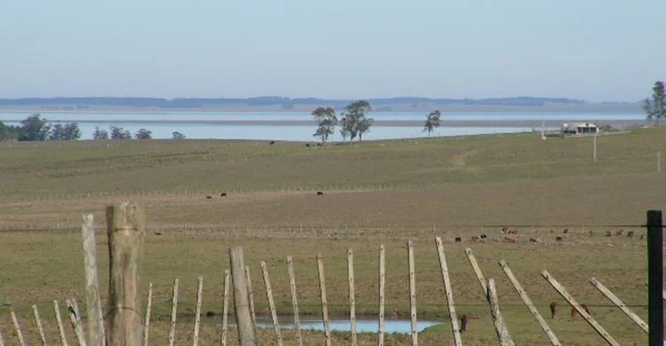 Campo en Rocha, propiedad 298707 -Imagen 7