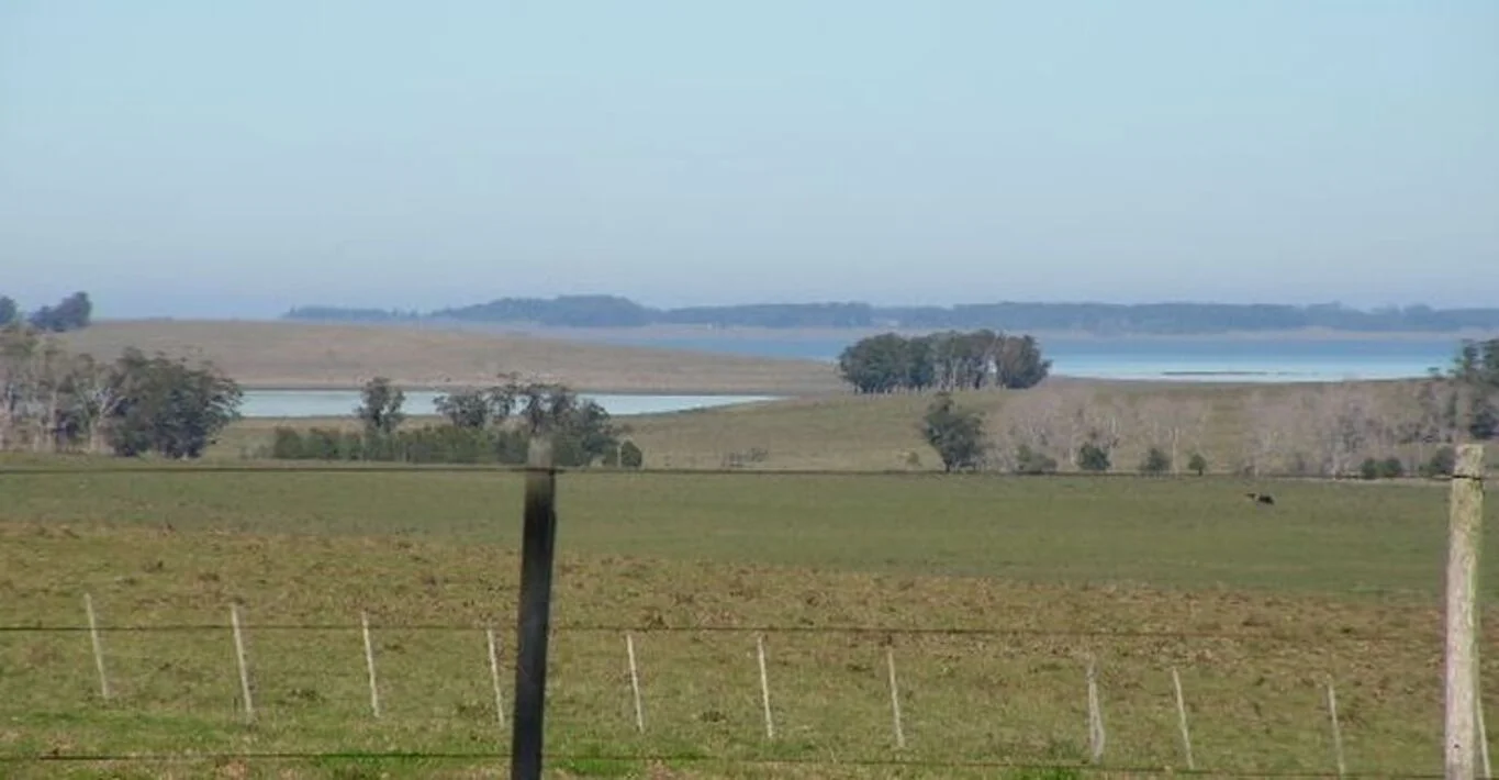 Campo en Rocha, propiedad 298707 -Imagen 8