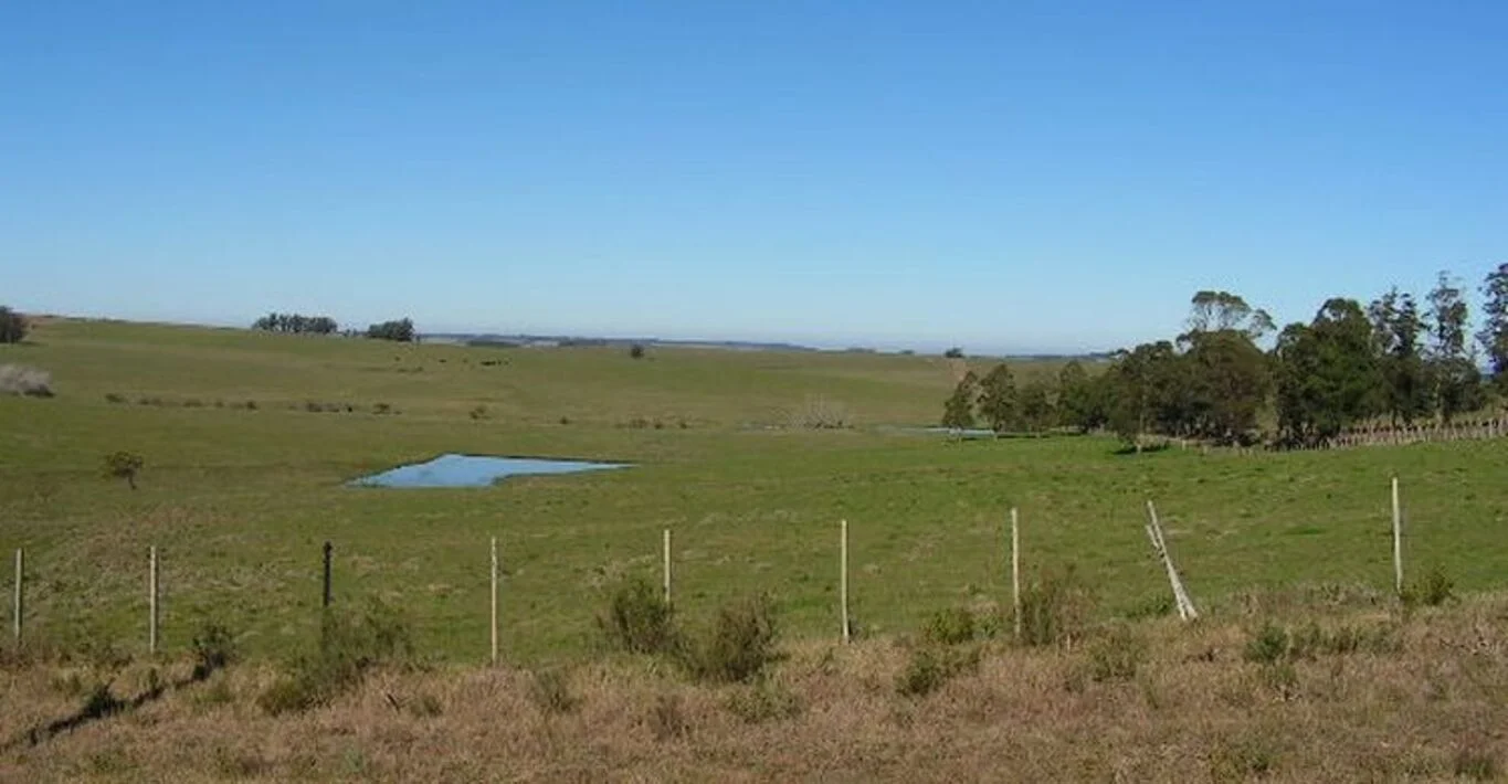 Campo en Rocha, propiedad 298707 -Imagen 9