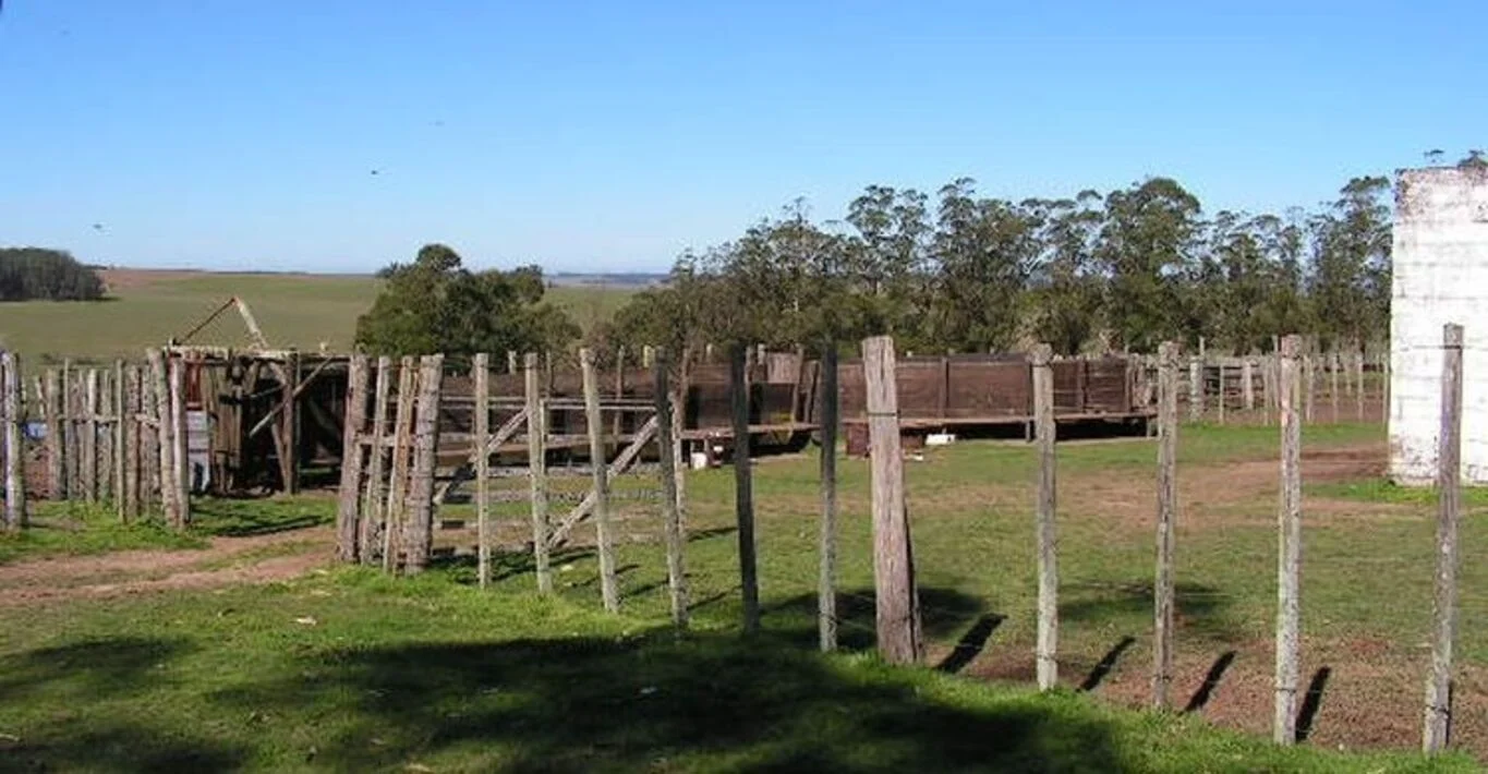 Campo en Rocha, propiedad 298707 -Imagen 10