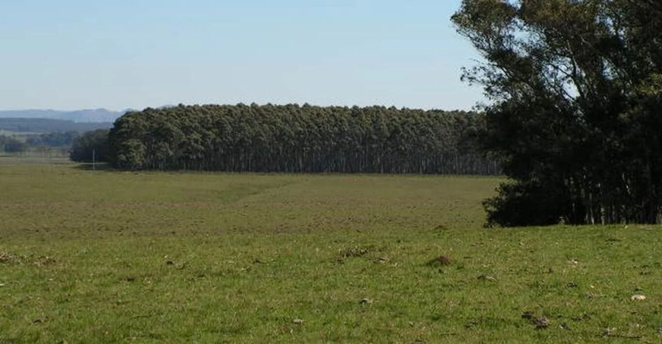 Campo en Rocha, propiedad 298707 -Imagen 11