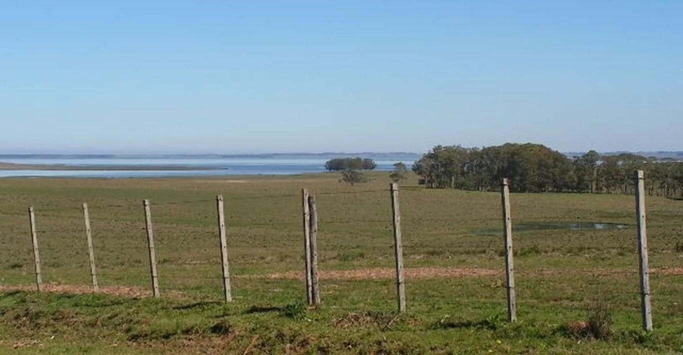 Campo en Rocha, propiedad 298707 -Imagen 12