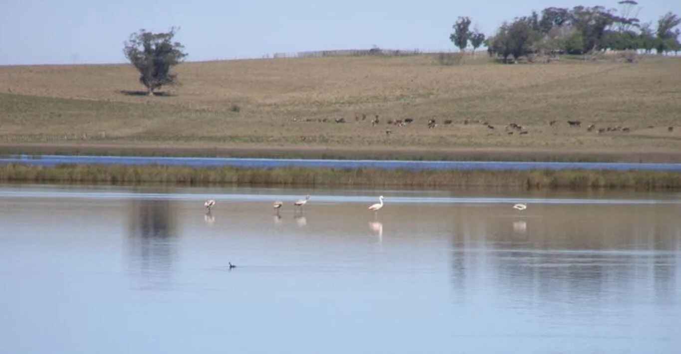 Campo en Rocha, propiedad 298707 -Imagen 4