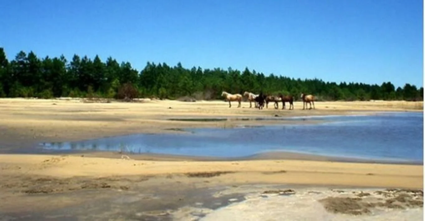 Campo en Punta del Diablo, propiedad 298709 -Imagen 2
