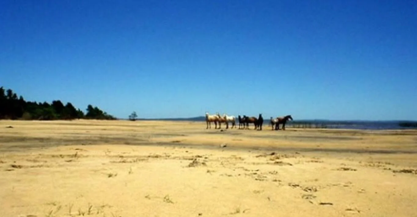 Campo en Punta del Diablo, propiedad 298709 -Imagen 3
