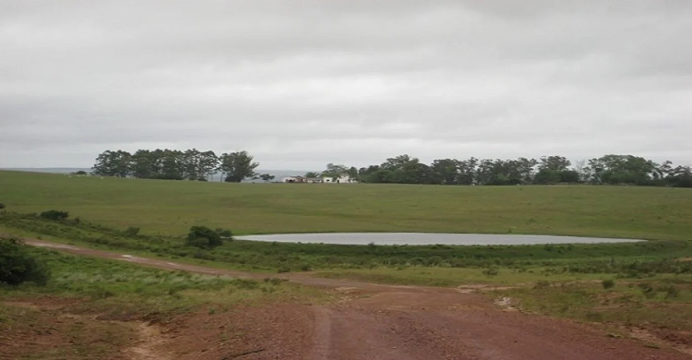 Chacra en Cerro Largo, propiedad 298719 -Imagen 3