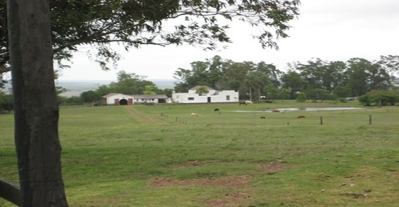Chacra en Cerro Largo, propiedad 298719 -Imagen 4