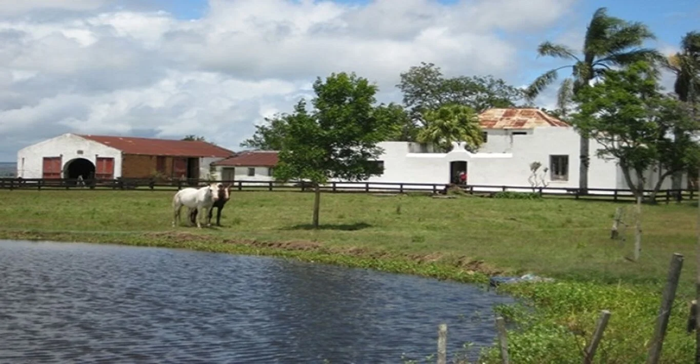 Chacra en Cerro Largo, propiedad 298719 -Imagen 6