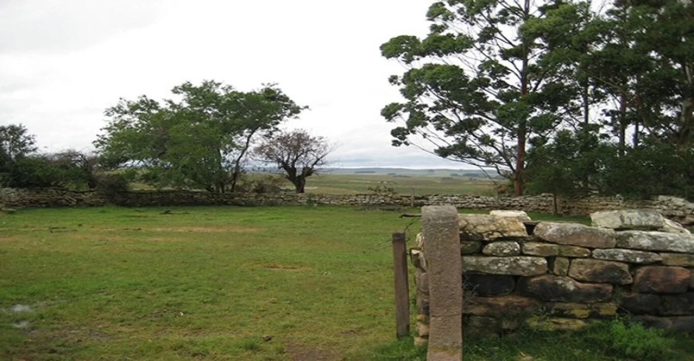 Chacra en Cerro Largo, propiedad 298719 -Imagen 7