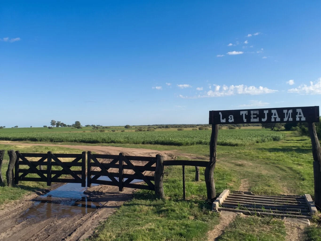 Campo en Paysandú, propiedad 298735 -Imagen 1