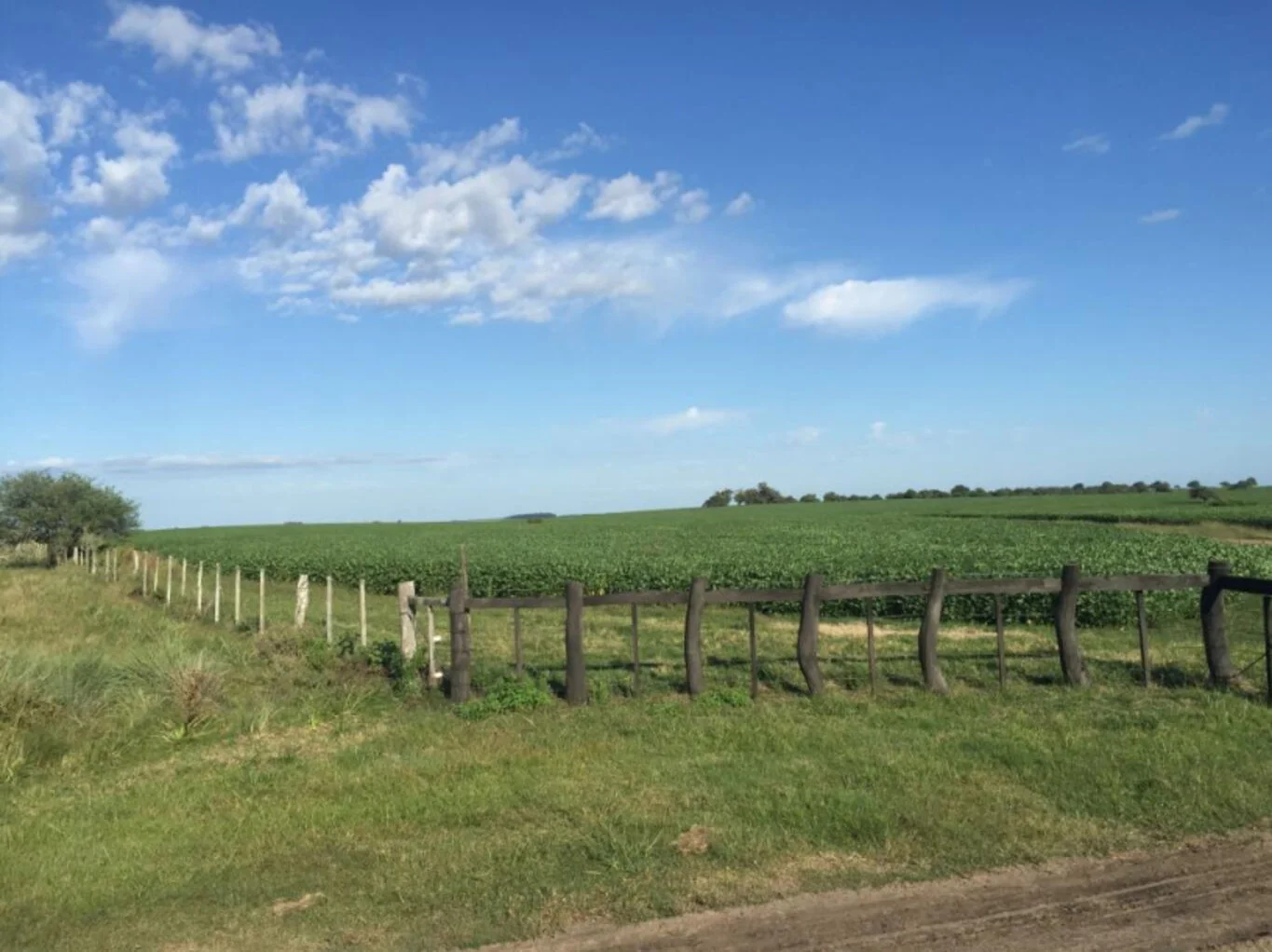 Campo en Paysandú, propiedad 298735 -Imagen 4