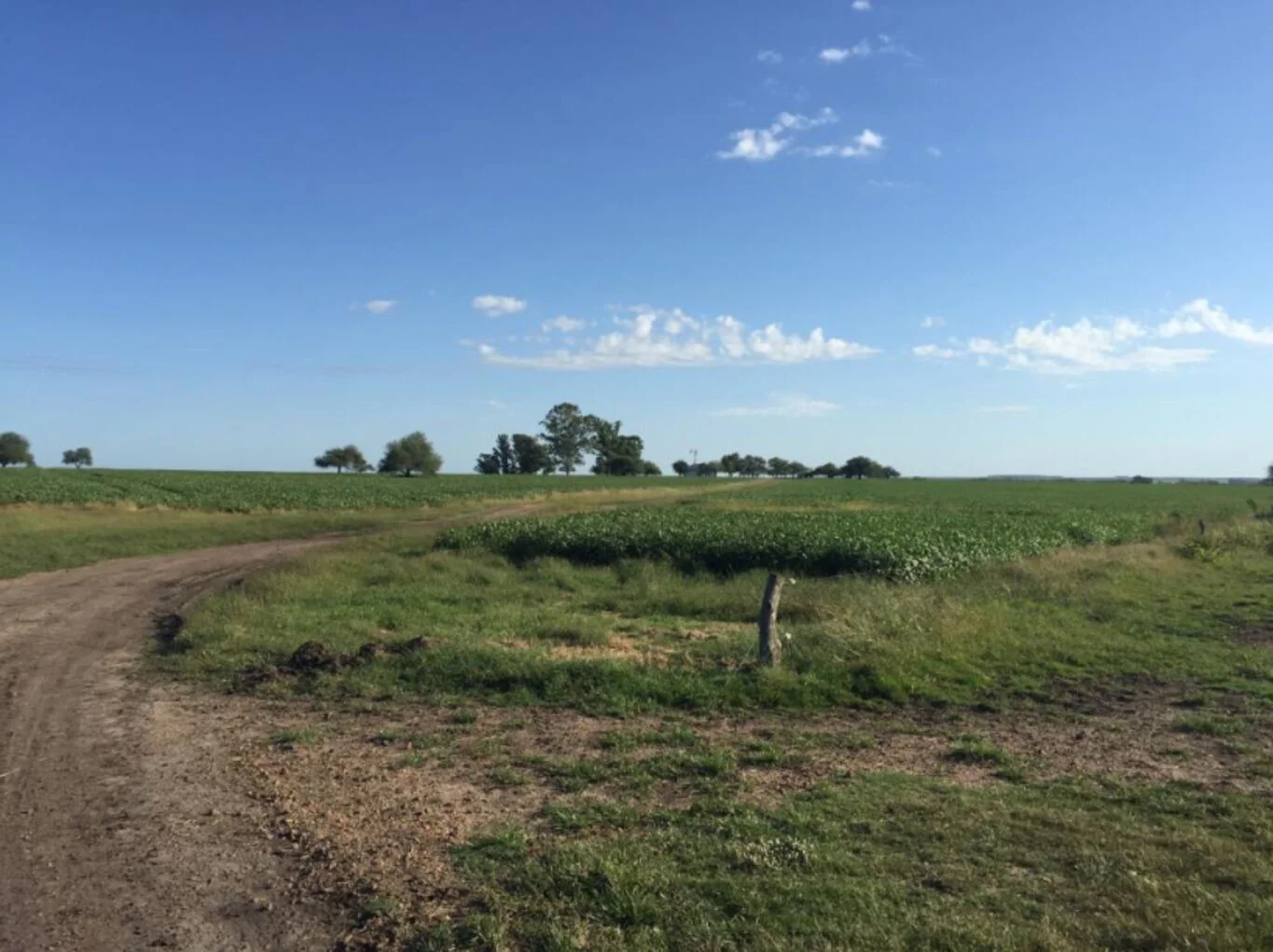 Campo en Paysandú, propiedad 298735 -Imagen 6