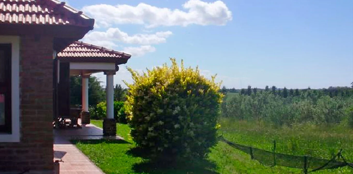 Chacra en Colonia del Sacramento, propiedad 298746 -Imagen 2