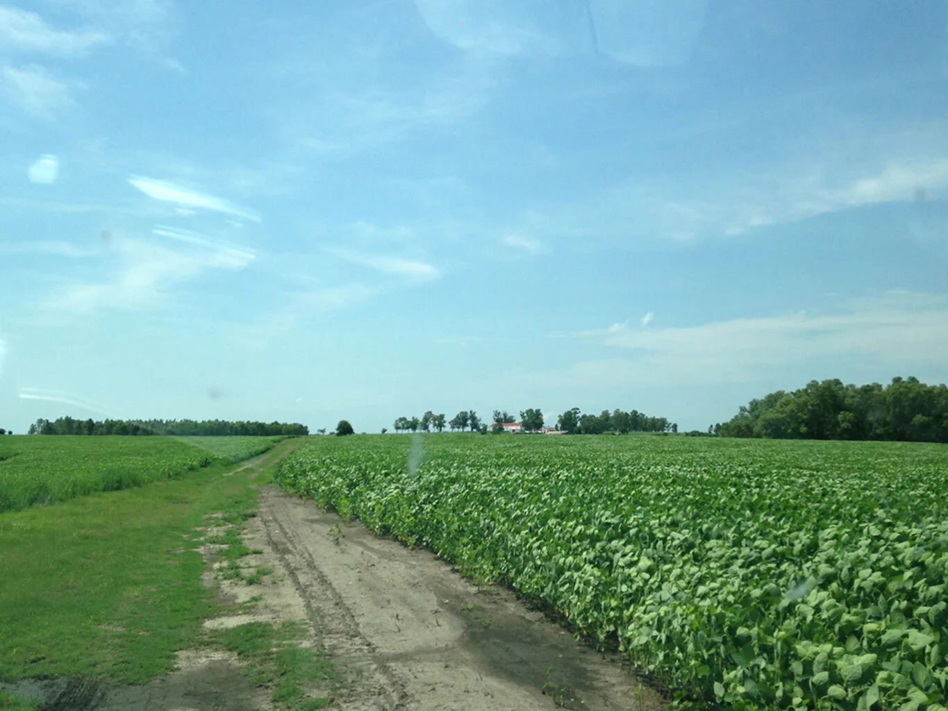 Campo en Florida, propiedad 298750 -Imagen 2