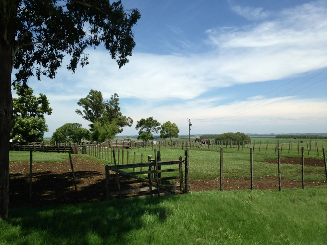 Campo en Florida, propiedad 298750 -Imagen 3