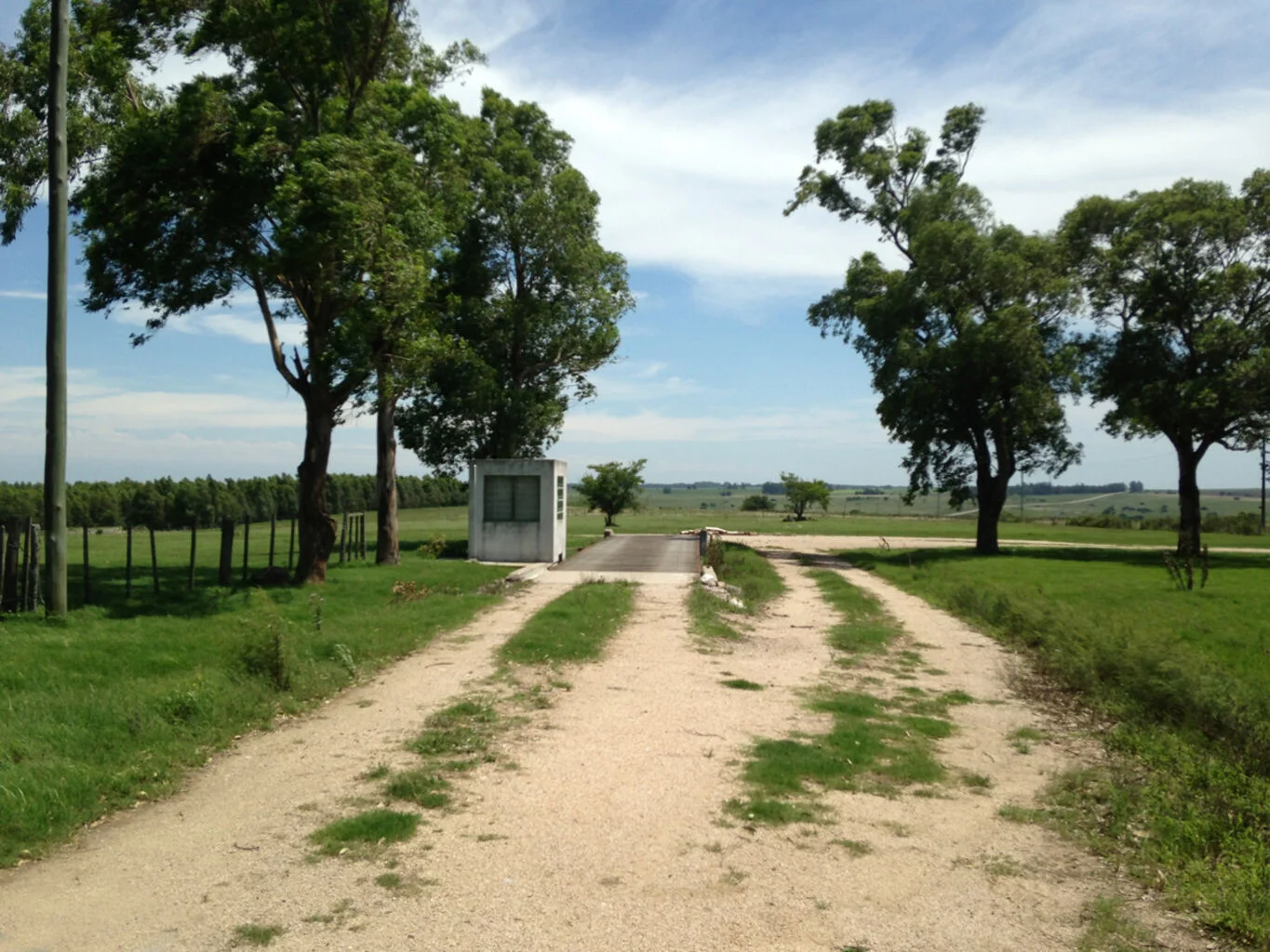 Campo en Florida, propiedad 298750 -Imagen 4