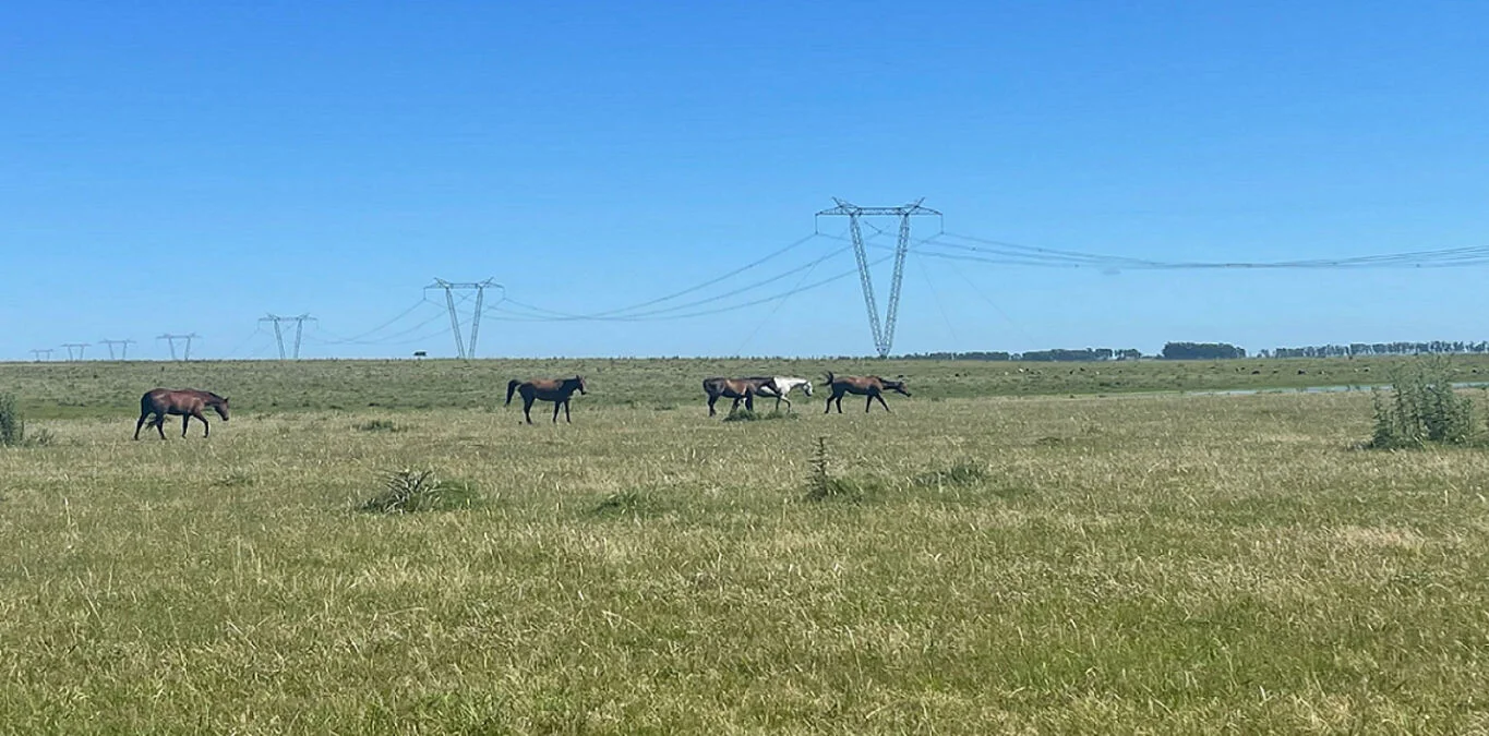 Campo en Tacuarembó, propiedad 298770 -Imagen 2