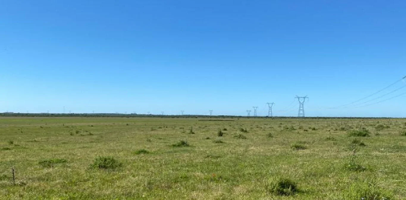 Campo en Tacuarembó, propiedad 298770 -Imagen 3