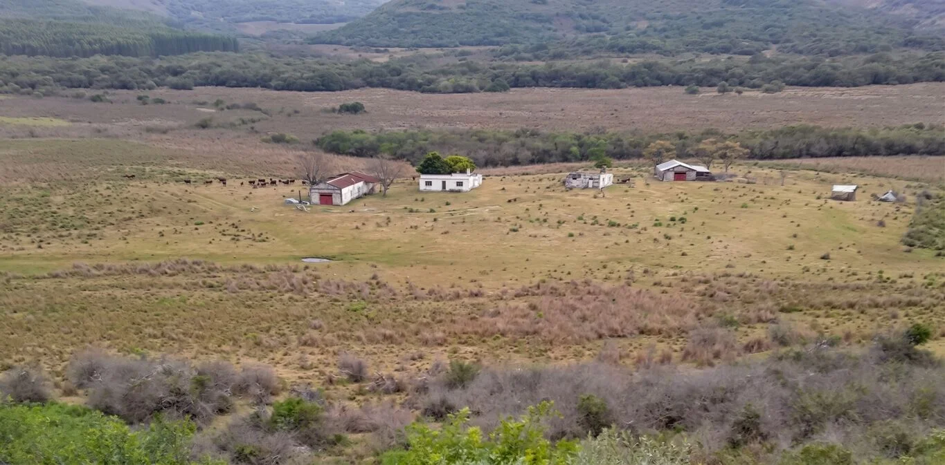 Campo en Tacuarembó, propiedad 298771 -Imagen 1