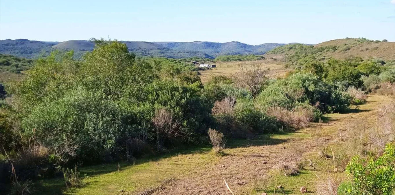Campo en Tacuarembó, propiedad 298771 -Imagen 2