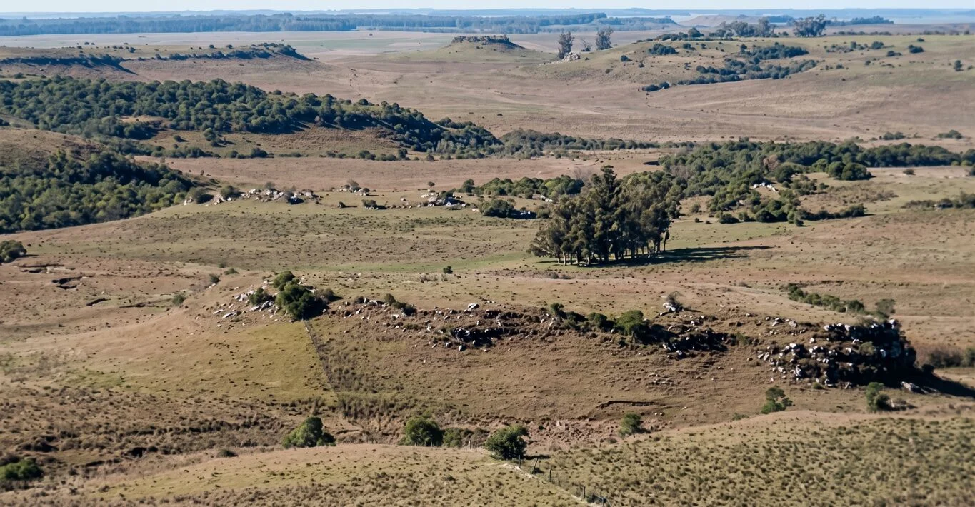 Campo en Tacuarembó, propiedad 298778 -Imagen 1