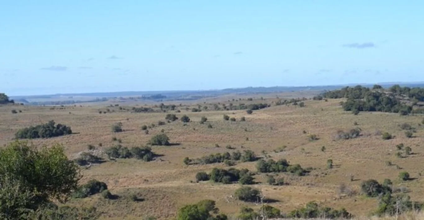 Campo en Tacuarembó, propiedad 298778 -Imagen 2