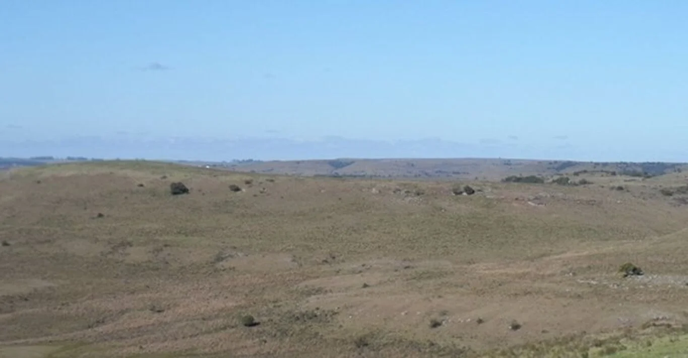 Campo en Tacuarembó, propiedad 298778 -Imagen 3