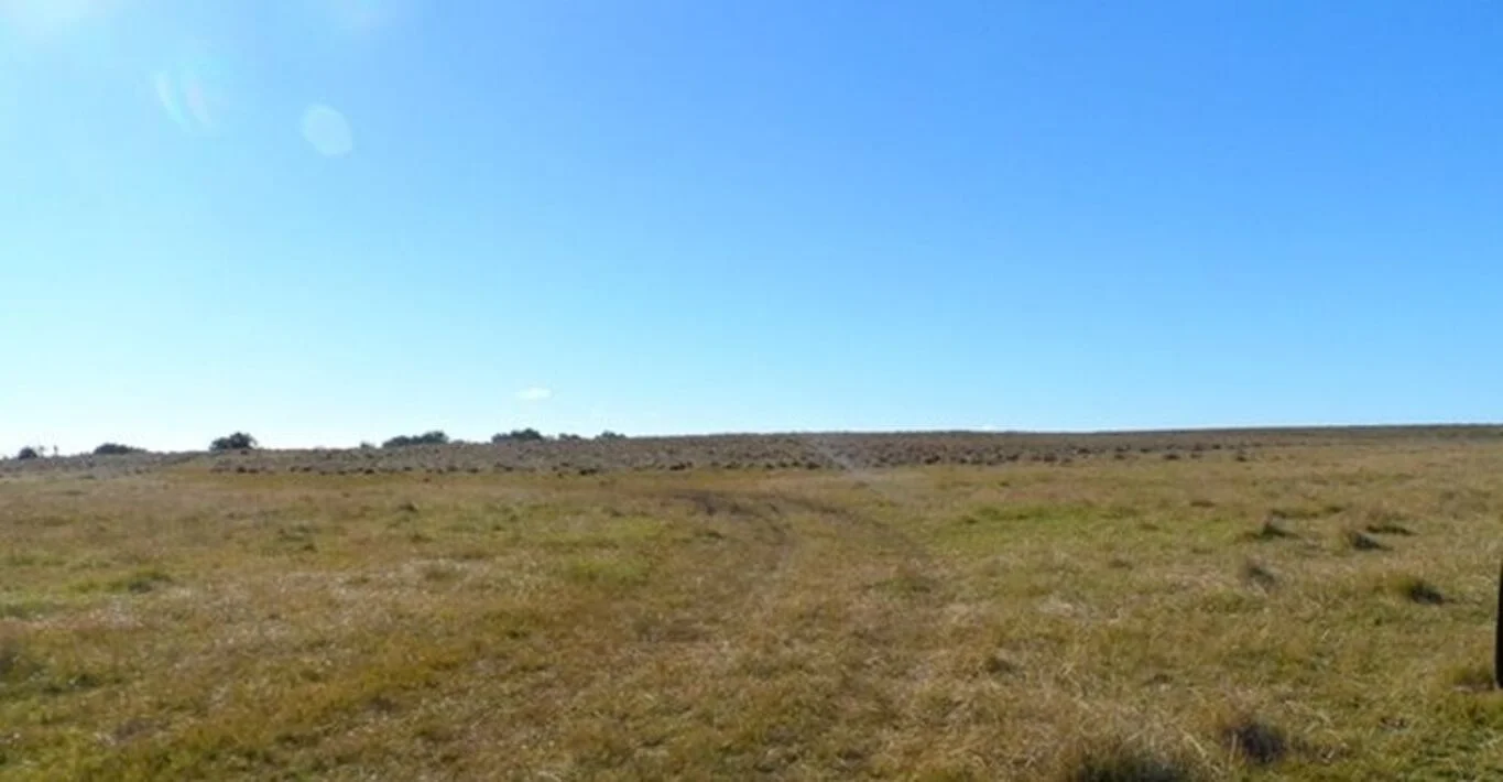 Campo en Tacuarembó, propiedad 298778 -Imagen 4