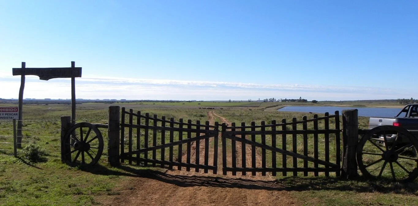 Campo en Tacuarembó, propiedad 298779 -Imagen 2